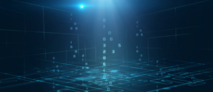 企业核心数据防护（财务数据、人资数据）